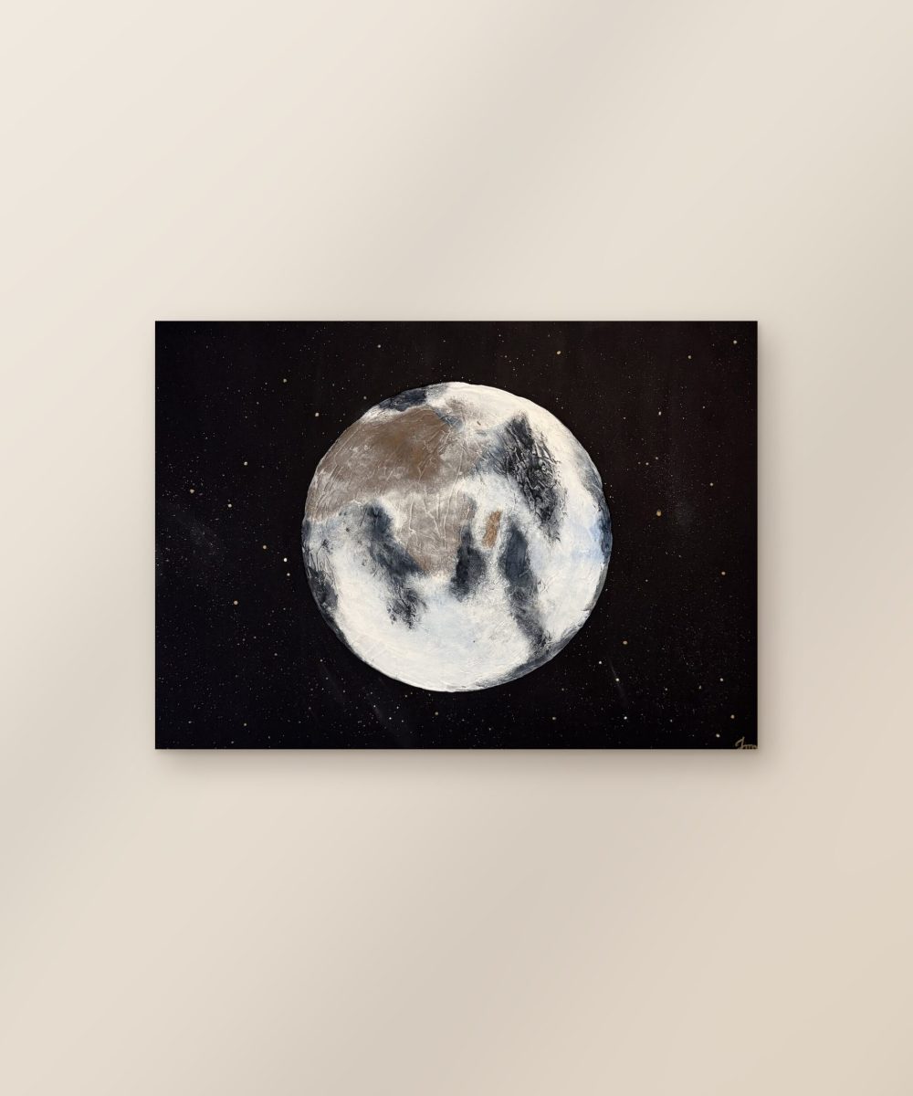 TOILE TERRE